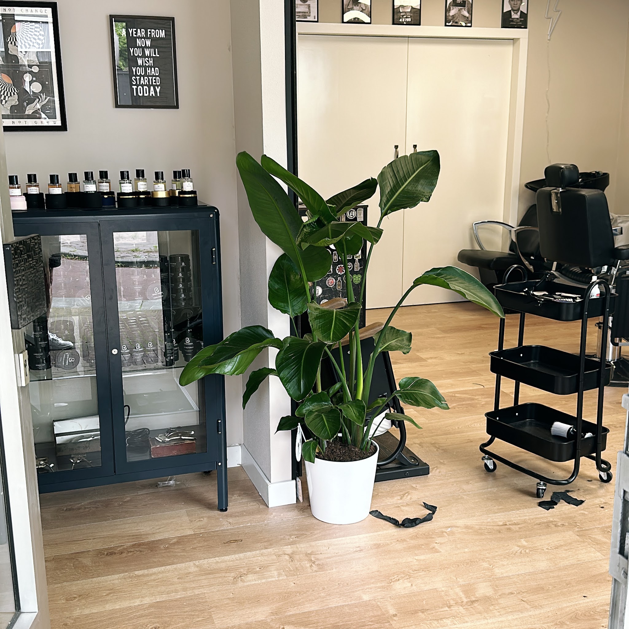 Vitrine met flesjes en potjes, een grote plant en een zwarte trolley in de shop
